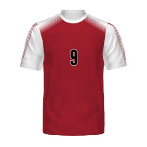 
                
                    Load image into Gallery viewer, Soccer Jersey | 10
                
            