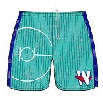 
                
                    Load image into Gallery viewer, Geese Blue Wood Floor Adult Athletic Shorts
                
            
